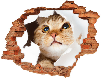 Autocollant à effet 3d trou Chat à travers un trou dans le mur
