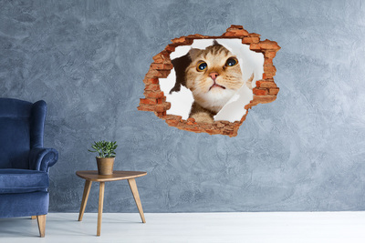 Autocollant à effet 3d trou Chat à travers un trou dans le mur