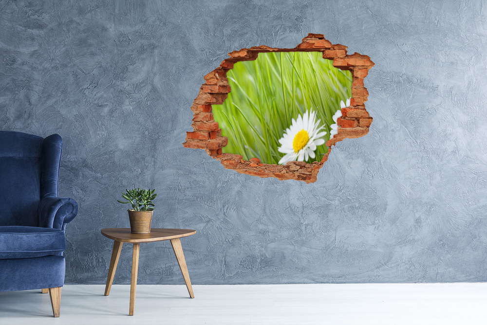 Sticker mural effet trou Marguerite fleur brique