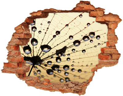 Sticker mural effet trou Des gouttes d'eau sur une aile de papillon