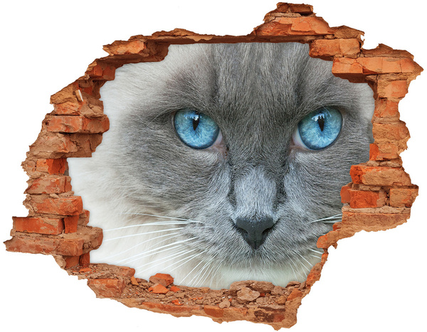Autocollant à effet 3d trou Chat dans un trou dans le mur