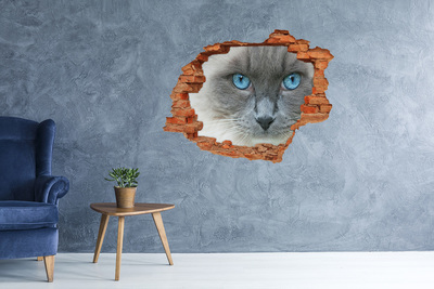 Autocollant à effet 3d trou Cat yeux bleus brique