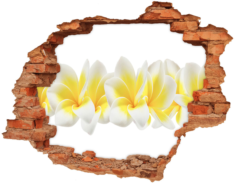 Sticker trou dans le mur Plumeria brique