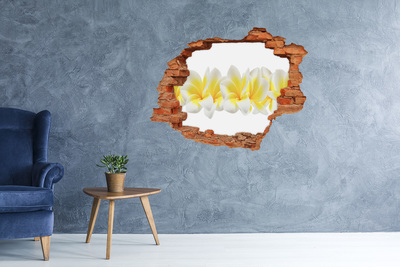 Sticker trou dans le mur Plumeria brique