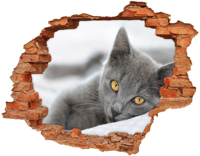 Sticker mural effet trou Chat gris brique