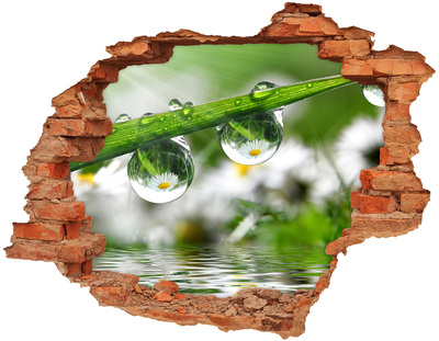 Sticker trou dans le mur Oasis florale avec des gouttes d'eau