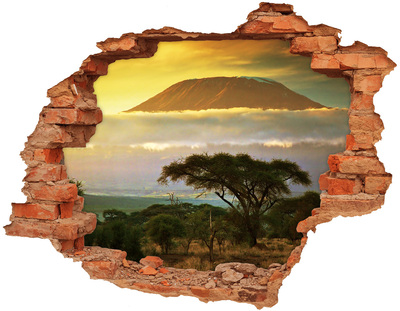 Sticker mural effet trou Paysage africain avec des arbres