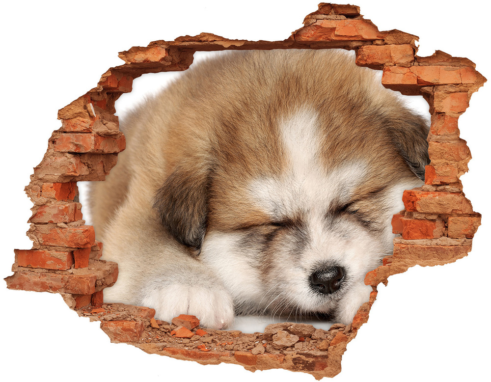 Sticker trou dans le mur Chiot akita brique