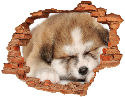Sticker trou dans le mur Un adorable chiot dans un trou dans le mur