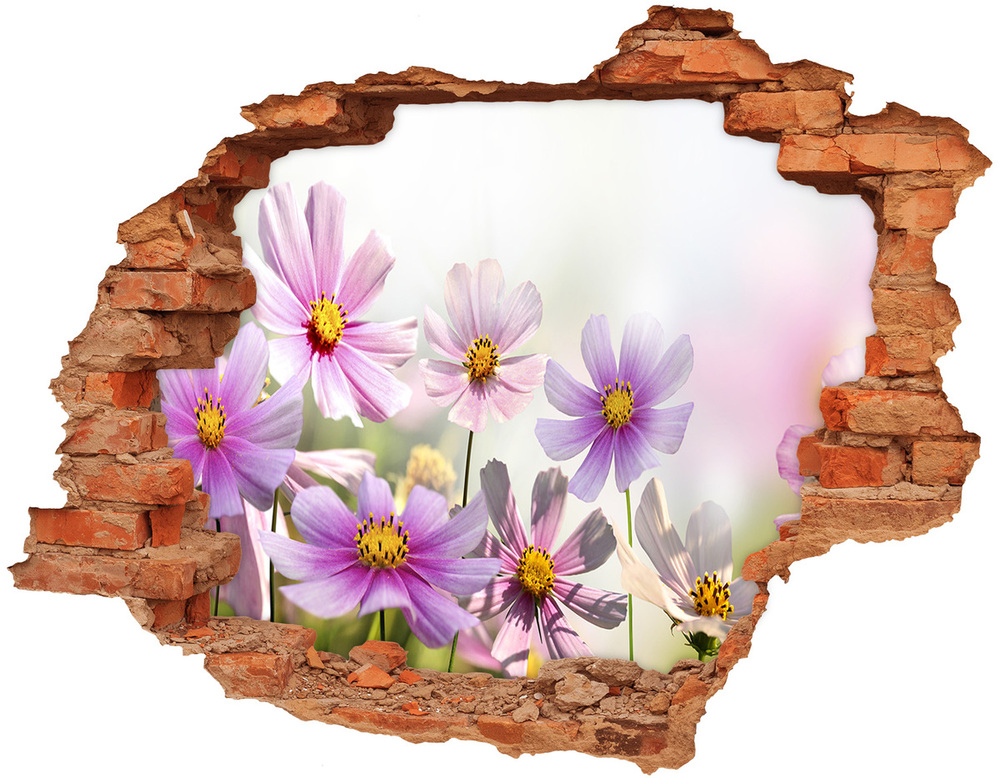 Sticker mural effet trou Fleurs dans la prairie brique