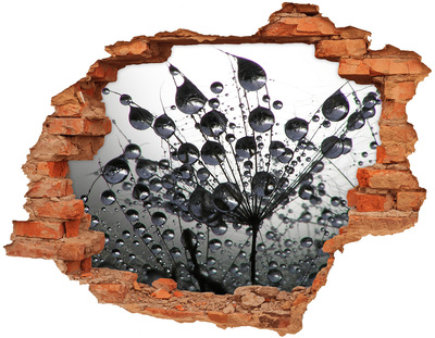 Sticker mural effet trou Gouttes d'eau sur un pissenlit