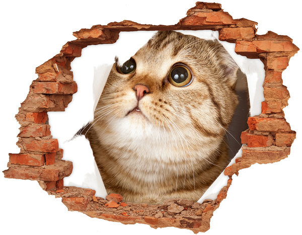 Autocollant à effet 3d trou Chat dans un trou dans le mur