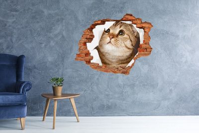 Autocollant à effet 3d trou Chat dans un trou dans le mur