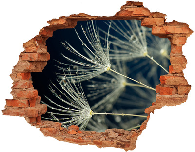 Autocollant à effet 3d trou Fleurs de pissenlit dans l'eau