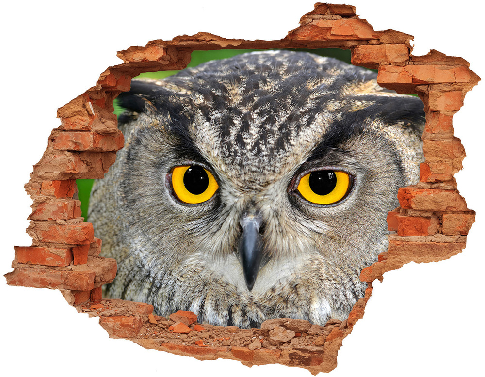 Sticker trou dans le mur Hibou brique