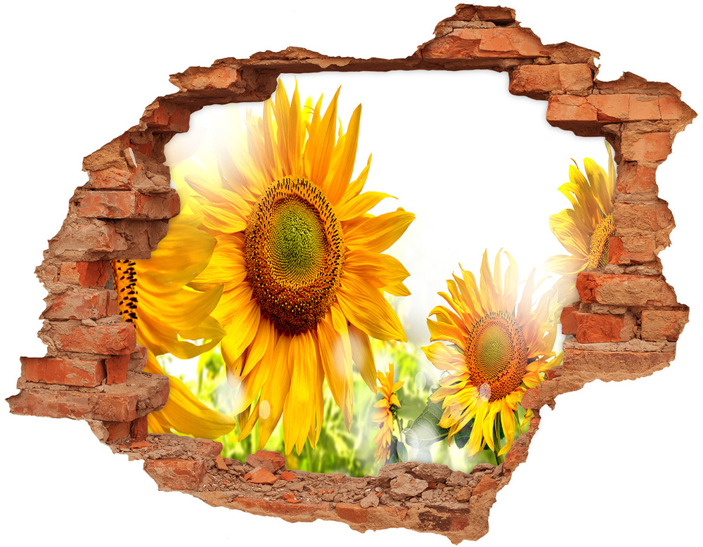 Sticker trou dans le mur Tournesols fleurs brique