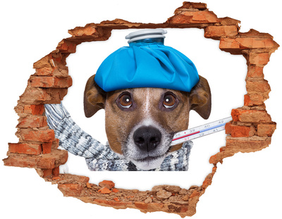 Sticker trou dans le mur Chien malade avec un chapeau