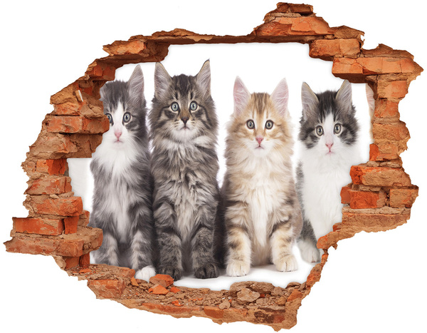 Autocollant à effet 3d trou Des chats dans un trou dans le mur