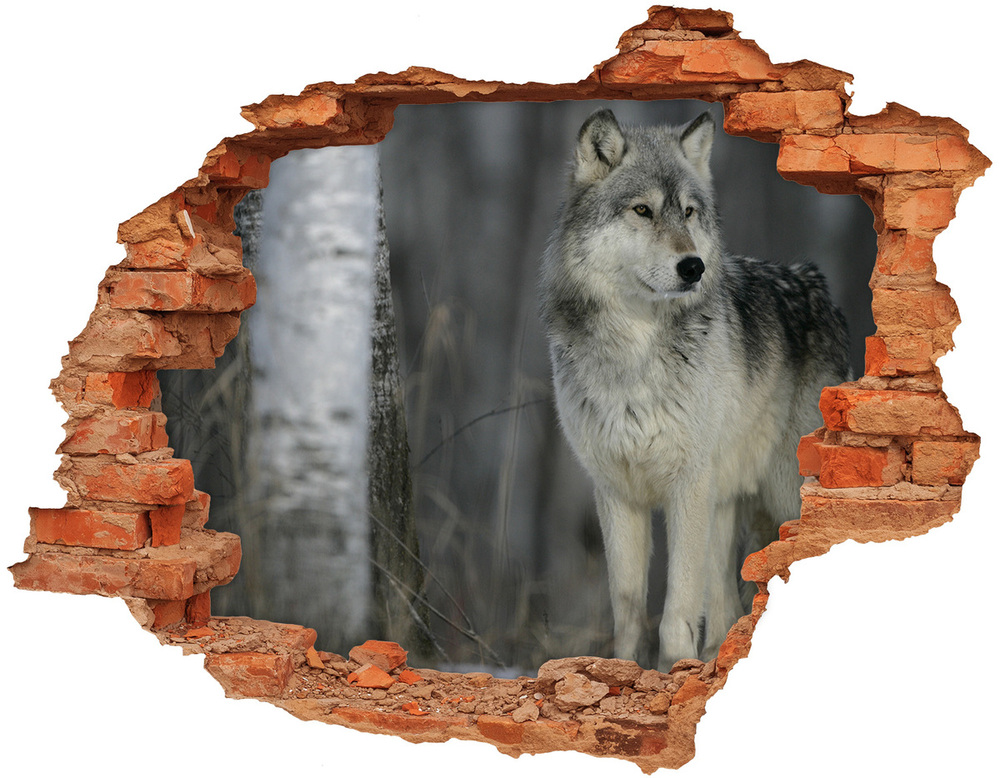 Sticker trou dans le mur Loup gris brique