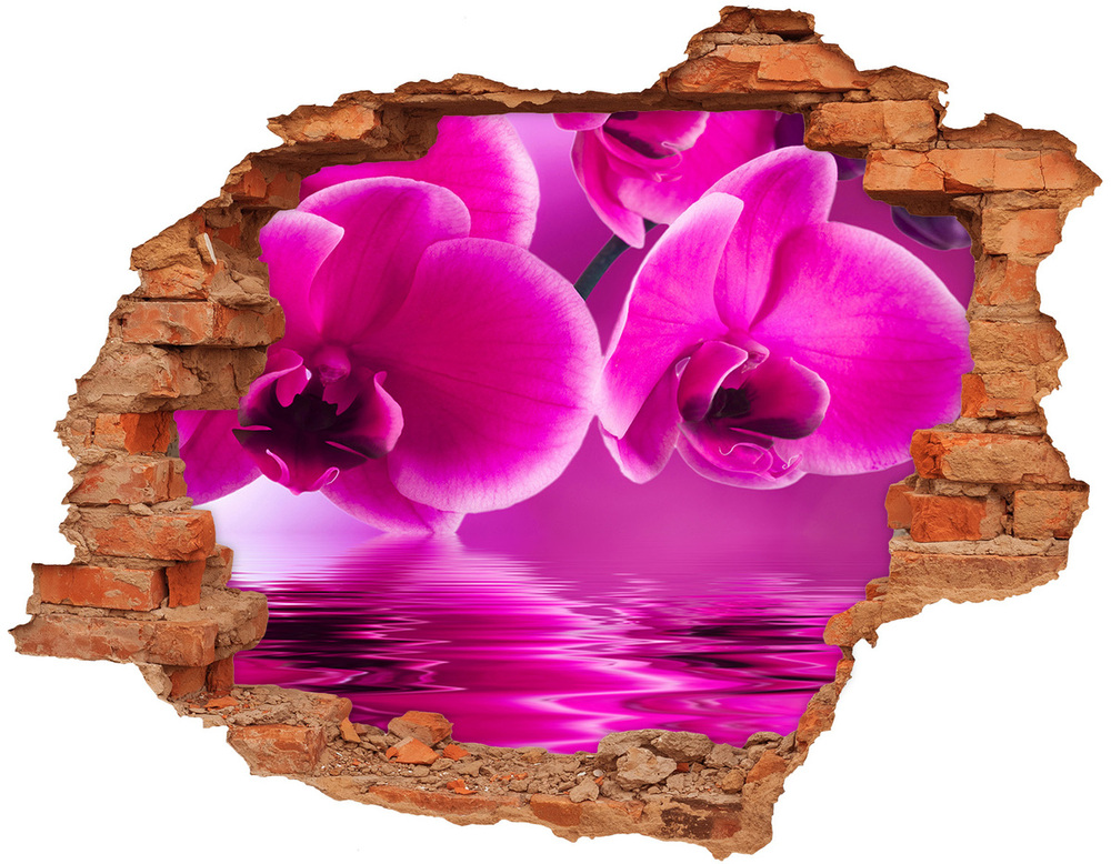 Autocollant à effet 3d trou Orchidées roses brique