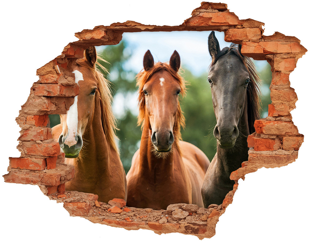 Sticker mural effet trou Trois chevaux brique