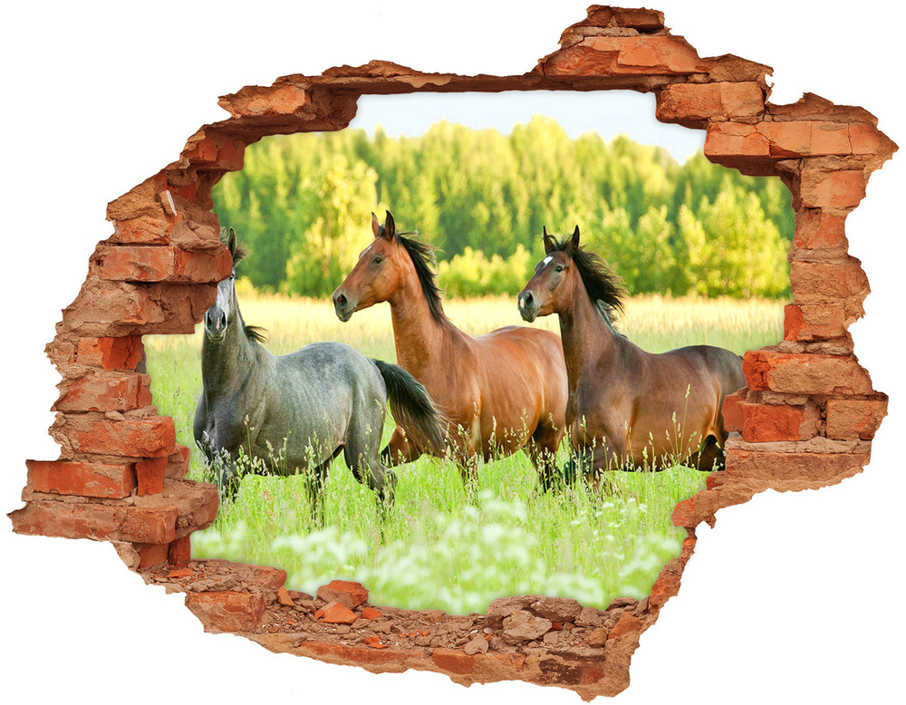 Sticker trou dans le mur Un troupeau de chevaux au galop dans un pré brique