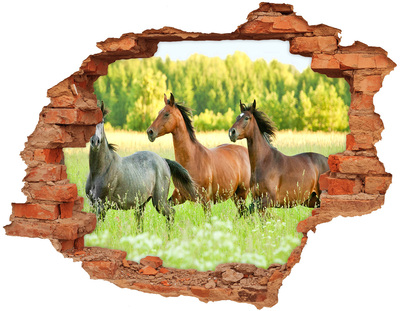 Sticker trou dans le mur Chevaux galopant dans la nature