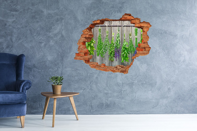 Sticker mural effet trou Suspendre des herbes brique