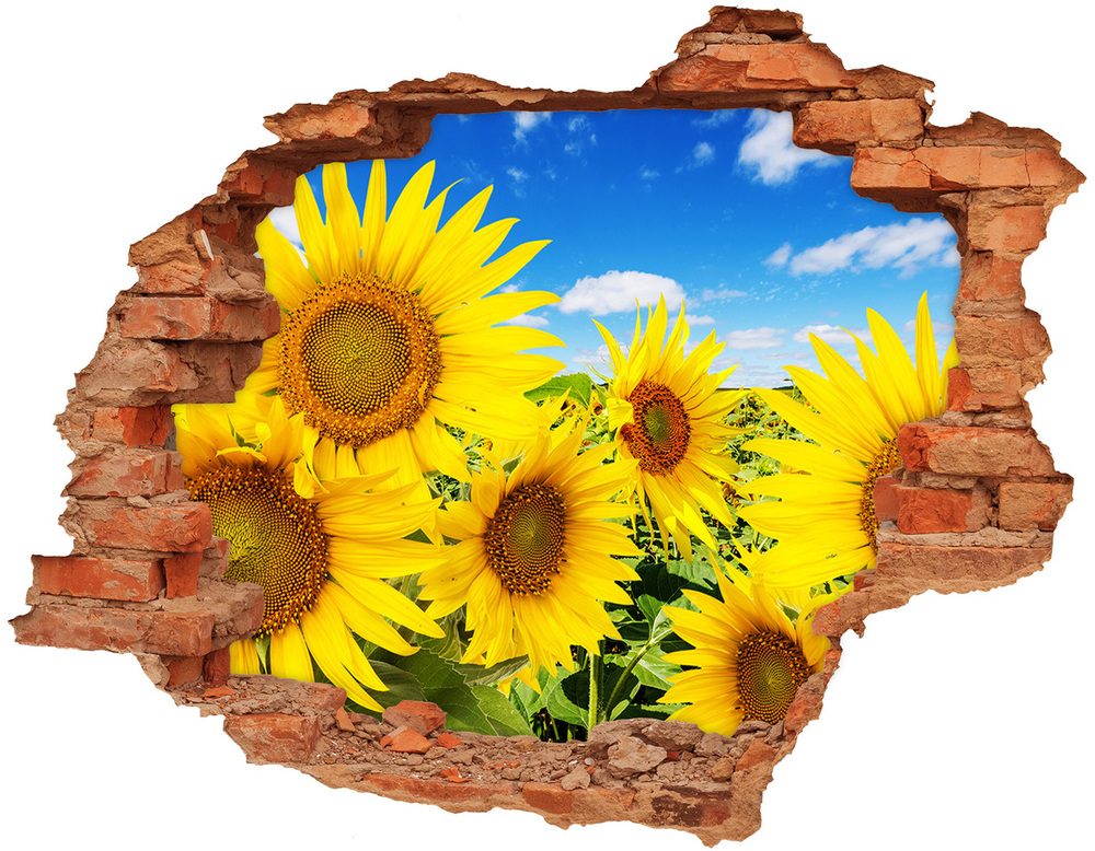 Sticker mural effet trou Tournesols brique