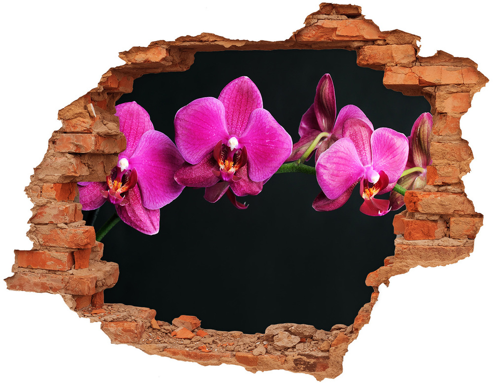 Sticker mural effet trou Orchidées roses brique