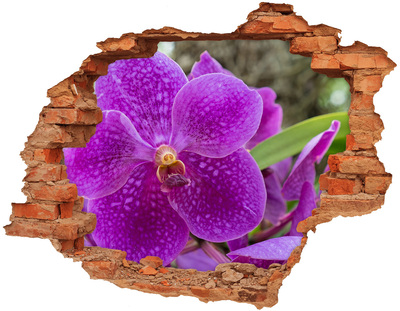 Autocollant à effet 3d trou Une orchidée dans un trou dans le mur