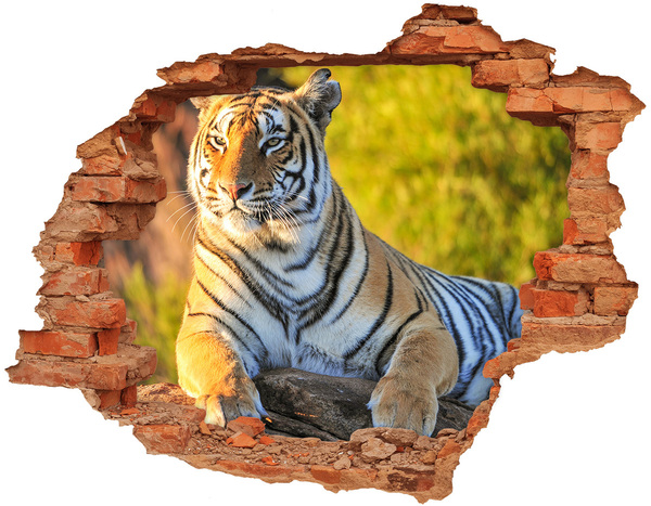 Sticker mural effet trou Le tigre dans son habitat naturel