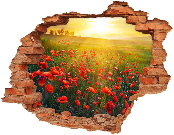 Sticker trou dans le mur Paysage floral dans la prairie
