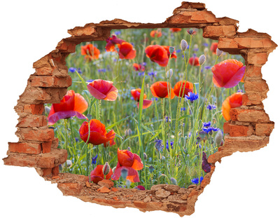 Sticker trou dans le mur Fleurs de terrain brique