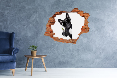 Autocollant mural trou Chien élégant avec un verre