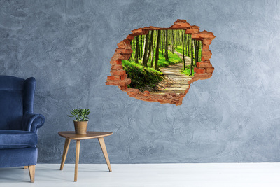 Sticker mural effet trou Sentier forestier au soleil