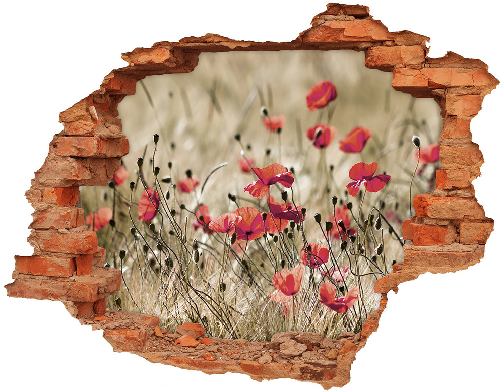 Sticker mural effet trou Les coquelicots fleurs des champs brique