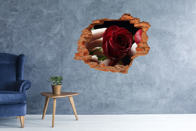 Sticker mural effet trou Une rose dans un mur en ruine