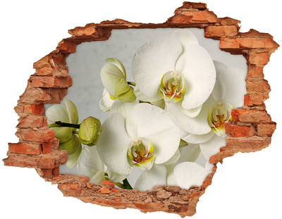 Autocollant à effet 3d trou Orchidée blanche brique