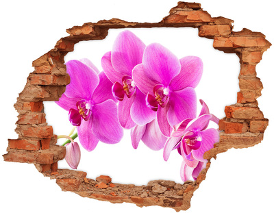 Sticker mural effet trou Orchidée rose brique