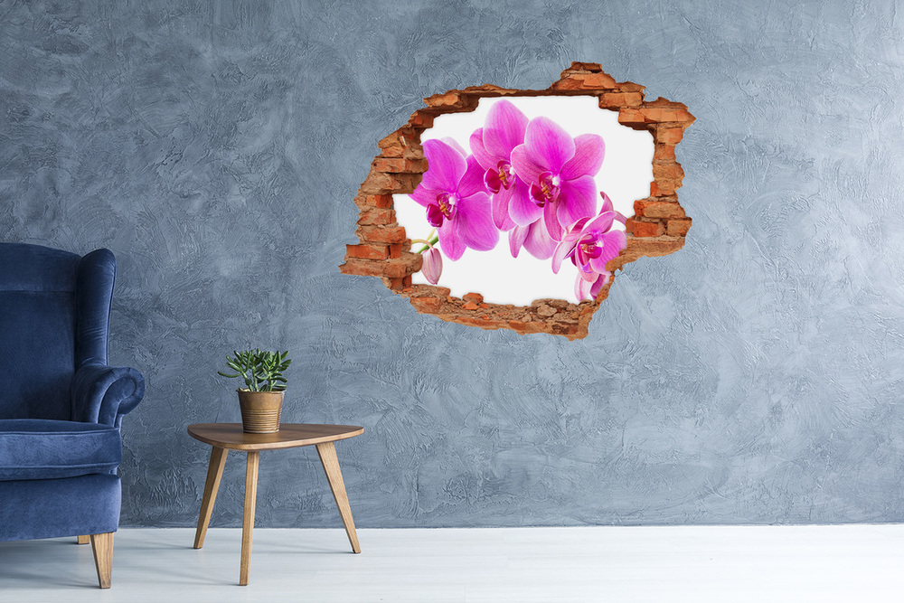 Sticker mural effet trou Orchidée rose brique