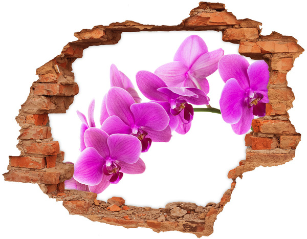 Autocollant à effet 3d trou Des orchidées à travers un trou dans le mur