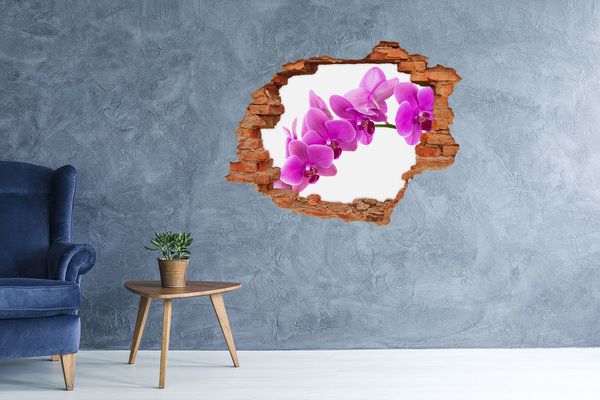 Autocollant à effet 3d trou Des orchidées à travers un trou dans le mur