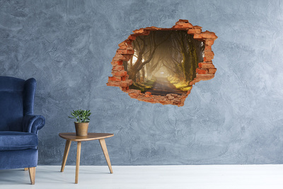 Autocollant mural trou Un chemin parmi les arbres