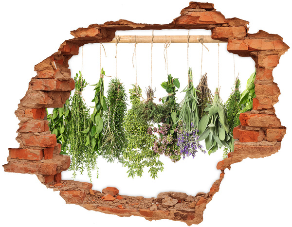 Autocollant mural trou Jardin d'herbes aromatiques dans le mur