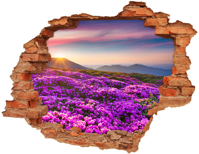 Autocollant à effet 3d trou Paysage floral dans les montagnes
