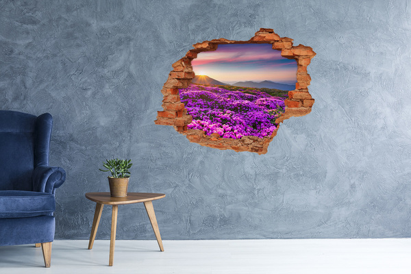 Autocollant à effet 3d trou Paysage floral dans les montagnes