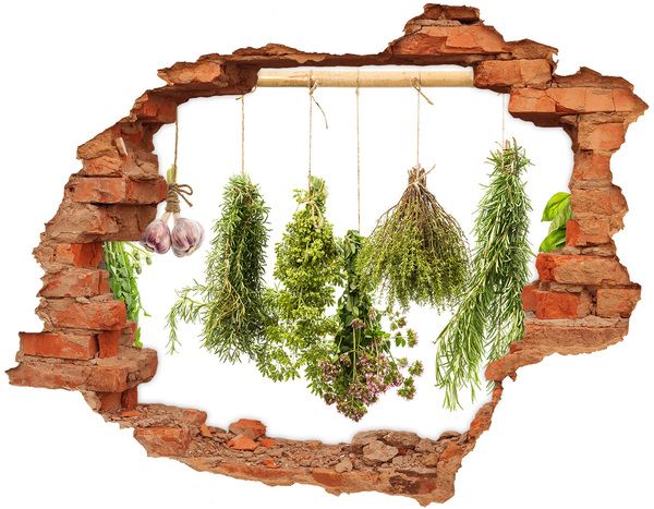 Sticker mural effet trou jardin d'herbes aromatiques en ruines