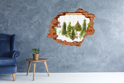 Sticker mural effet trou Herbes sur une corde brique