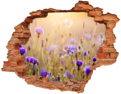 Sticker mural effet trou Fleurs de terrain brique